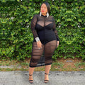 Plus Size Mesh Bodycon Dress